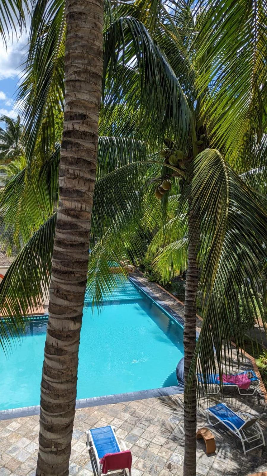 Charming Apartment Close To Beach & Amenities - Appartement De Charme Proche Plage Flic en Flac Exterior photo
